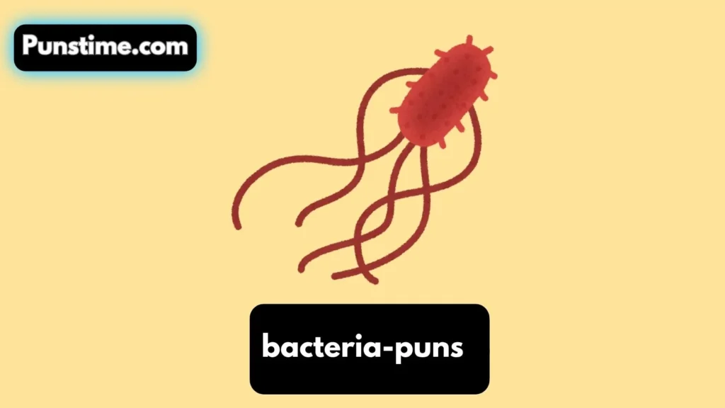 Short Funny Bacteria Puns