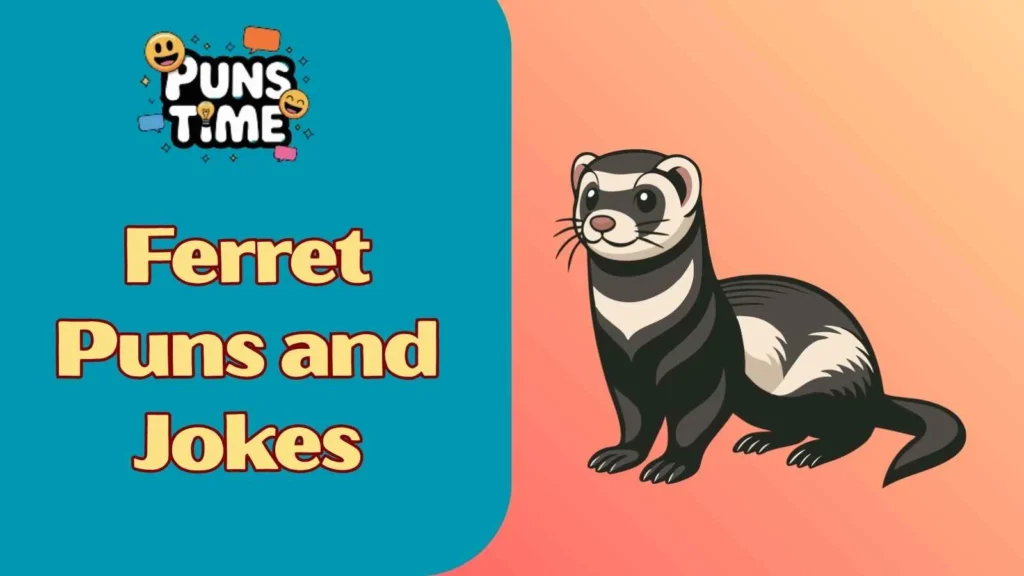 Ferret puns and jokes one liners