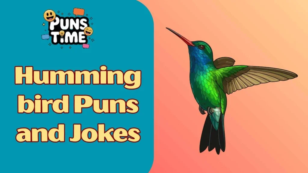 Short Hummingbird Puns and Jokes