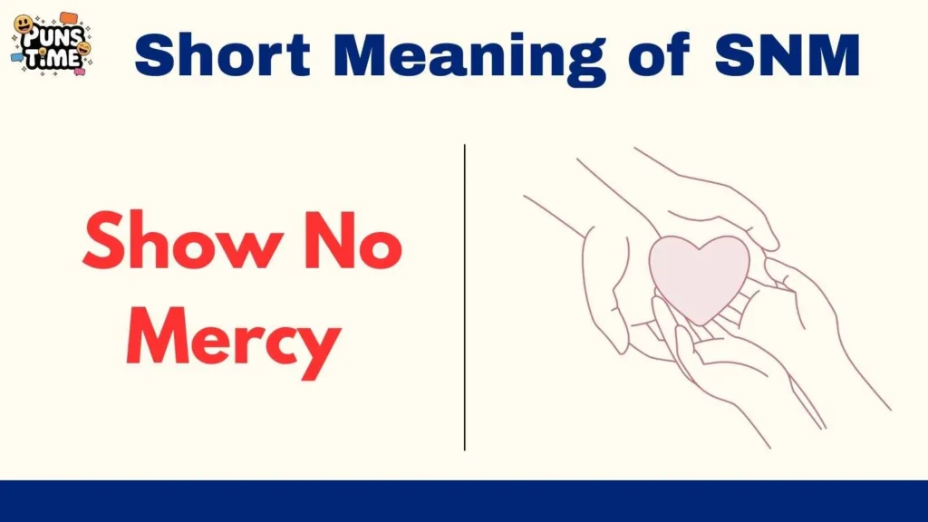 Short Meaning of SNM