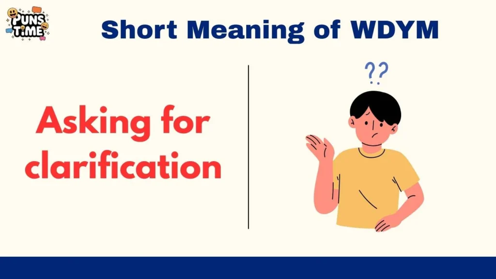 Short Meaning of WDYM