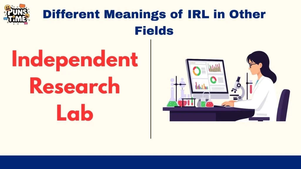 Different Meanings of IRL in Other Fields