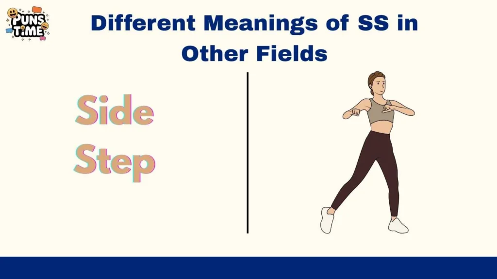 Different Meanings of SS in Other Fields