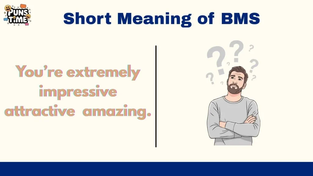 Short Meaning of BMS