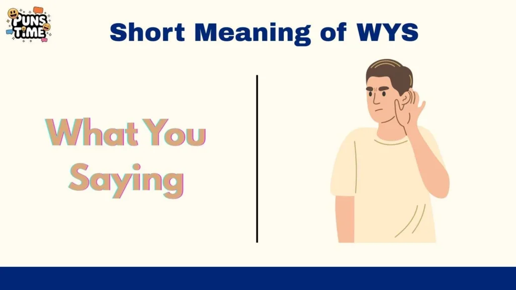 Short Meaning of WYS