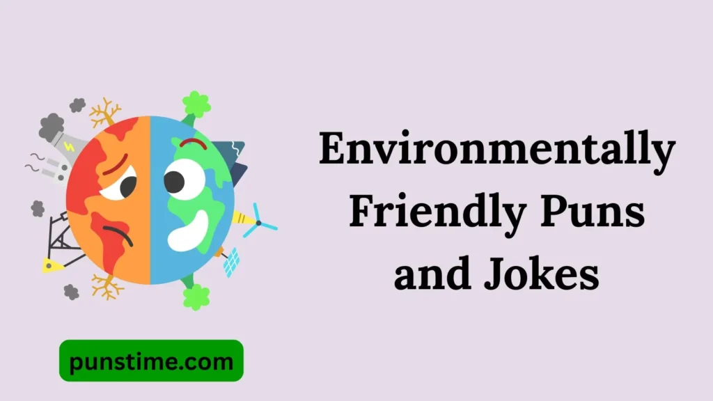 Best Environmentally Friendly