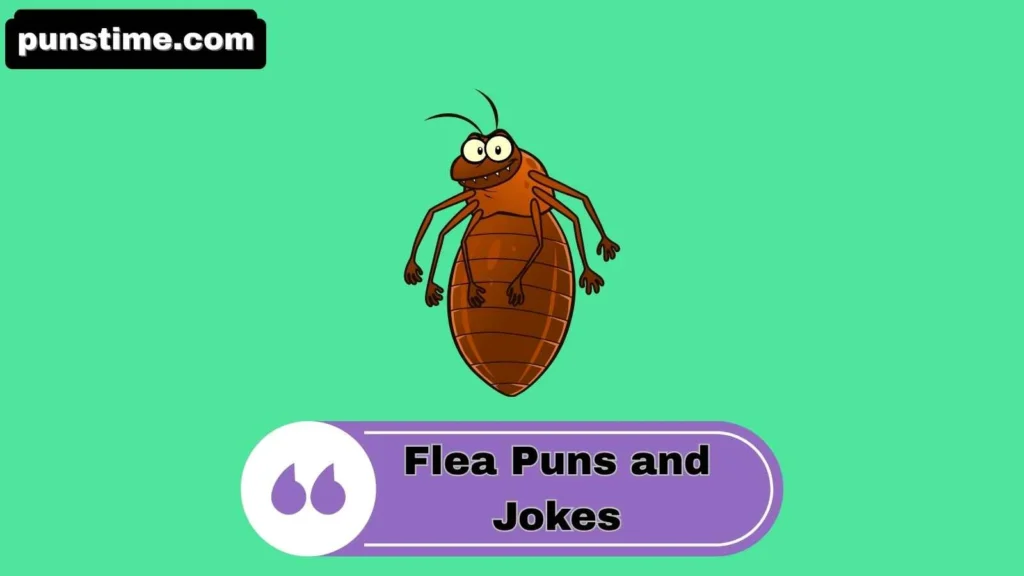 Clever Flea Puns