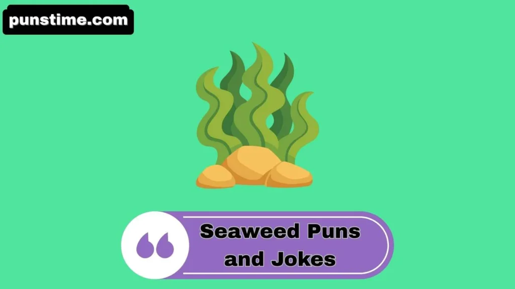 Clever Seaweed Puns