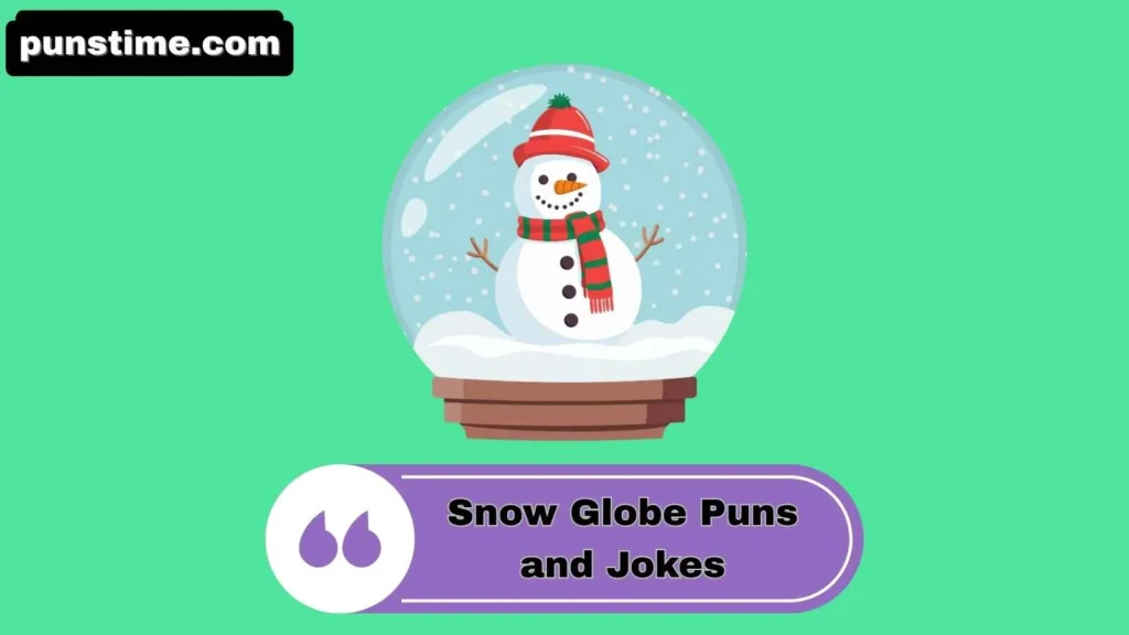 Clever Snow Globe Puns
