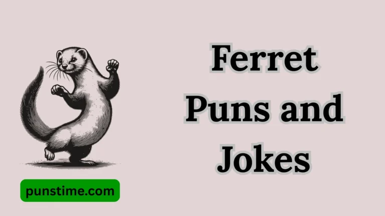 Ferret Puns and Jokes