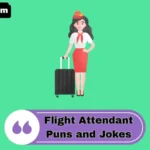 Flight Attendant Puns and Jokes