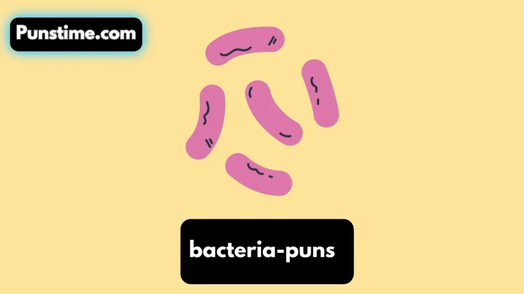 Funny Bacteria Puns