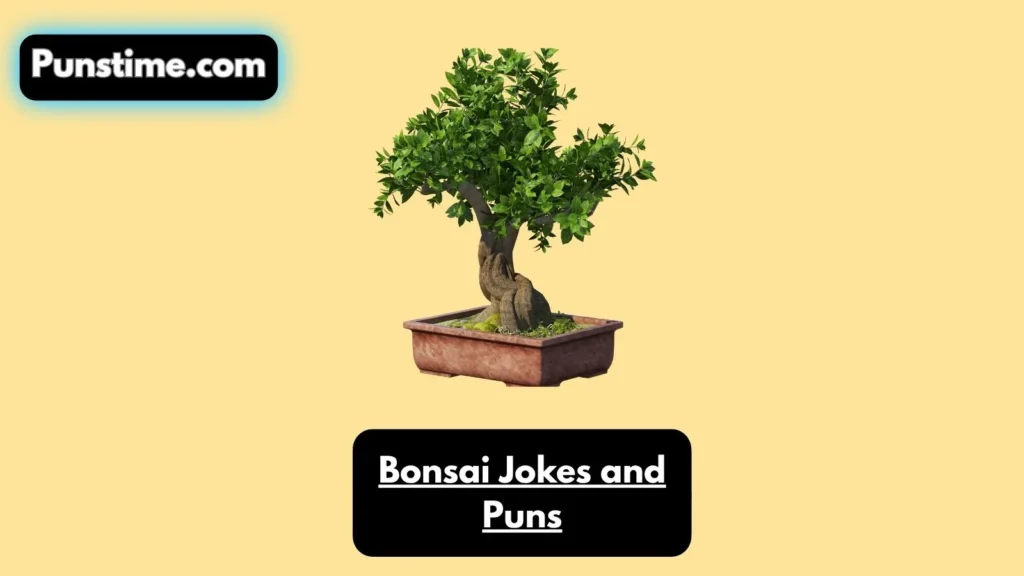 Funny Bonsai Pun