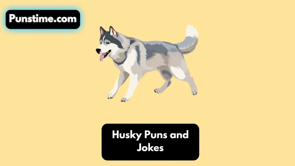 Funny Husky Puns
