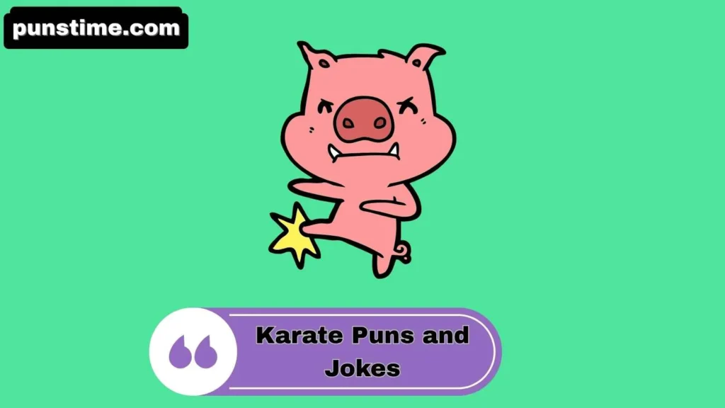 Funny Karate Puns One Liners