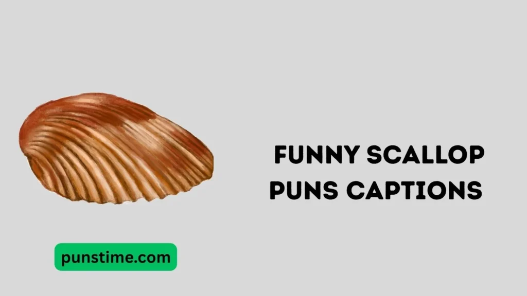 Funny Scallop Puns Captions 