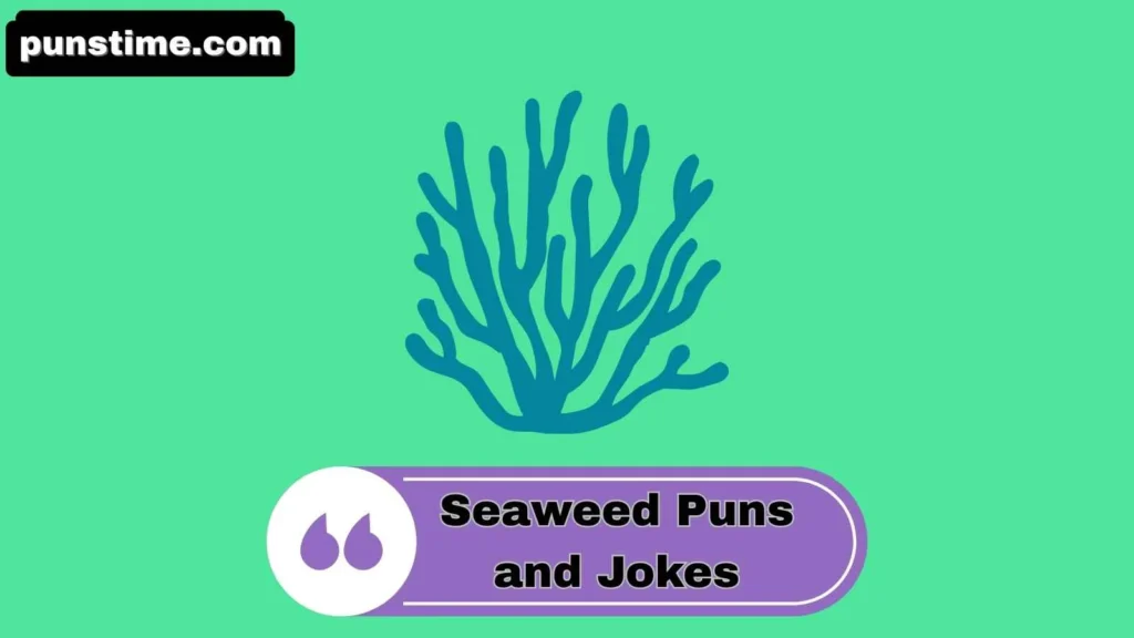 Funny Seaweed Puns
