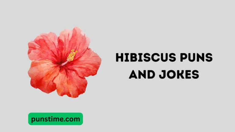 Hibiscus Puns and Jokes