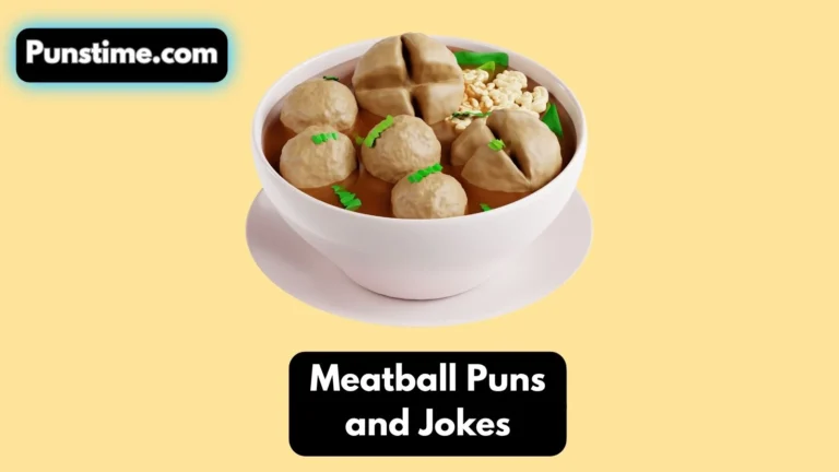 Meatball Puns and Jokes