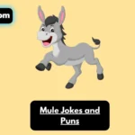 Mule Jokes and Puns