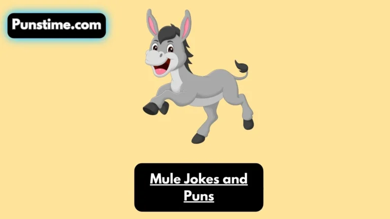 Mule Jokes and Puns