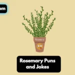 Rosemary Puns and Jokes