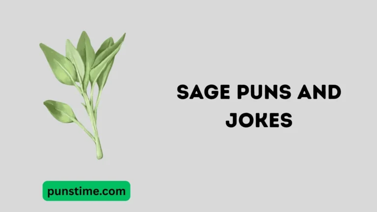 Sage Puns and Jokes