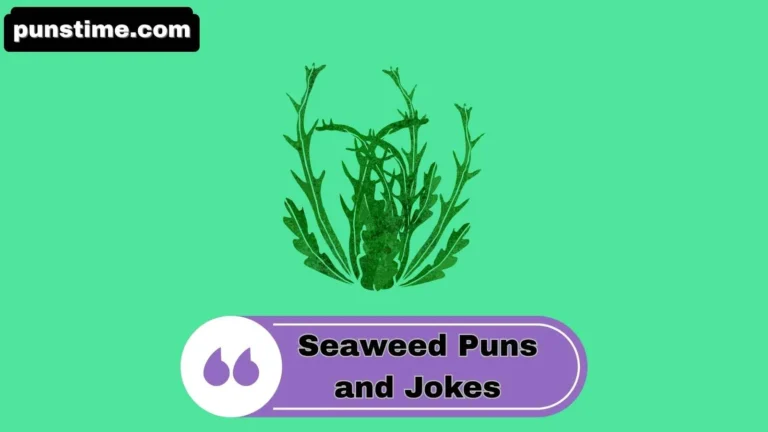 Seaweed Puns and Jokes