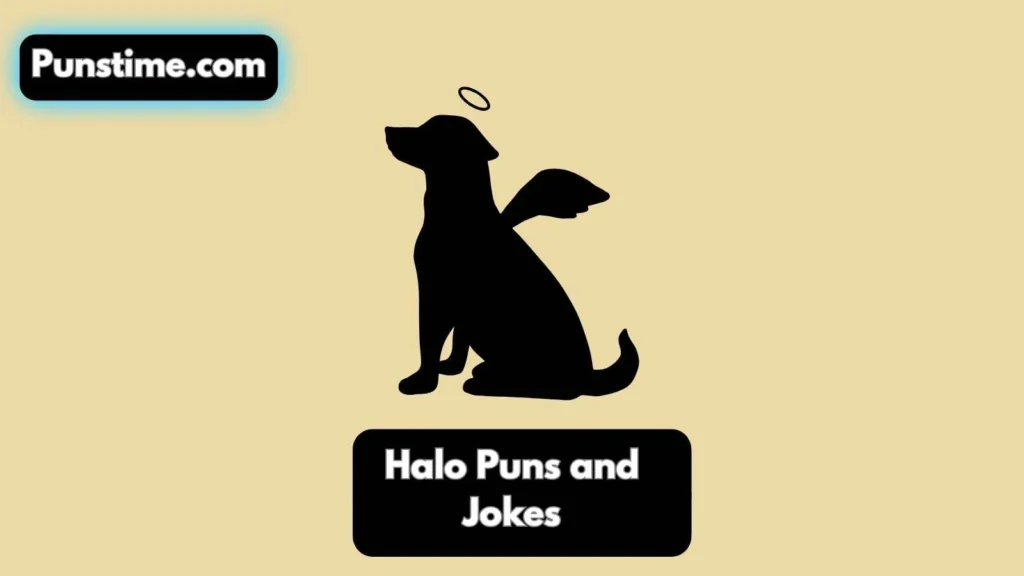 Short Funny Halo Puns