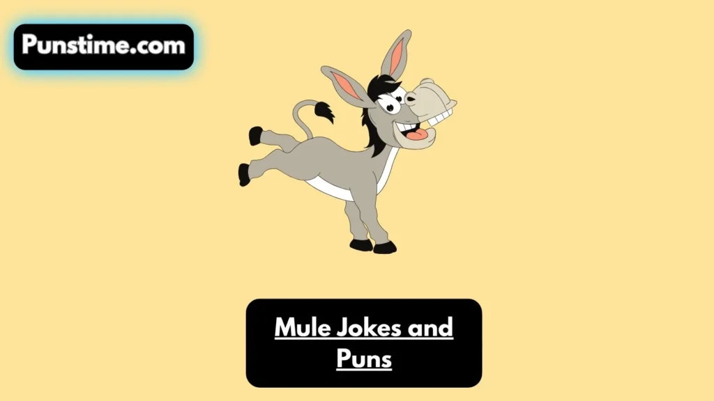Short Funny Mule Puns