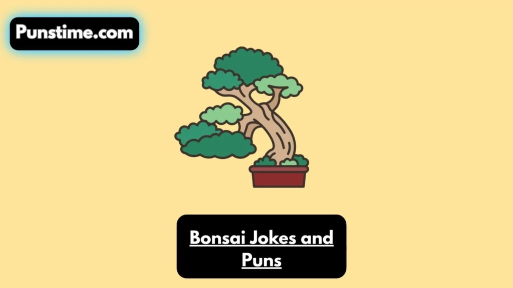 Silly & Sassy Bonsai 