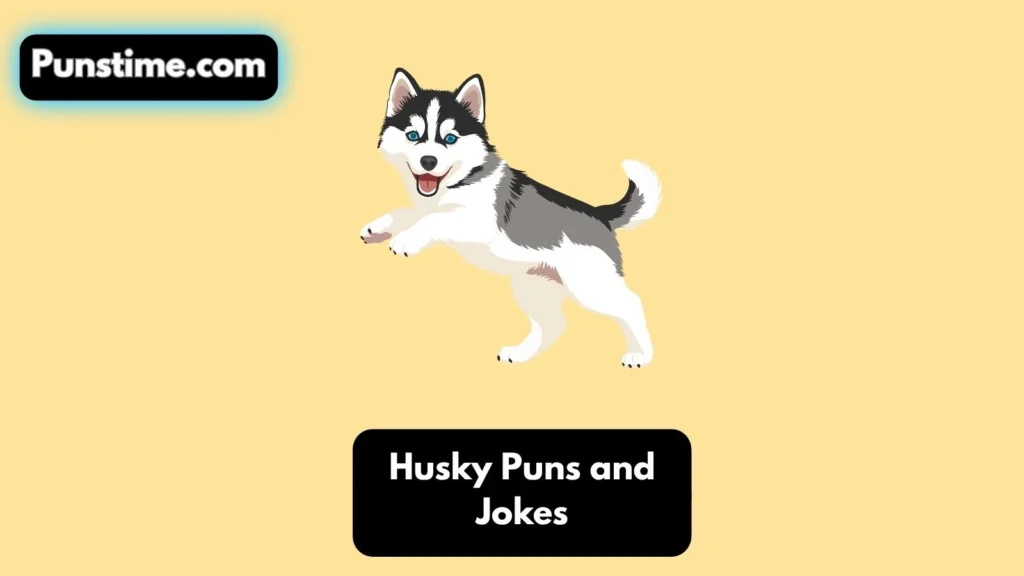 Silly & Sassy Husky Wordplay