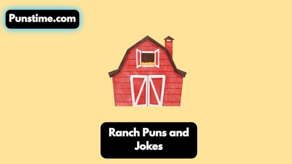 Silly & Sassy Ranch 