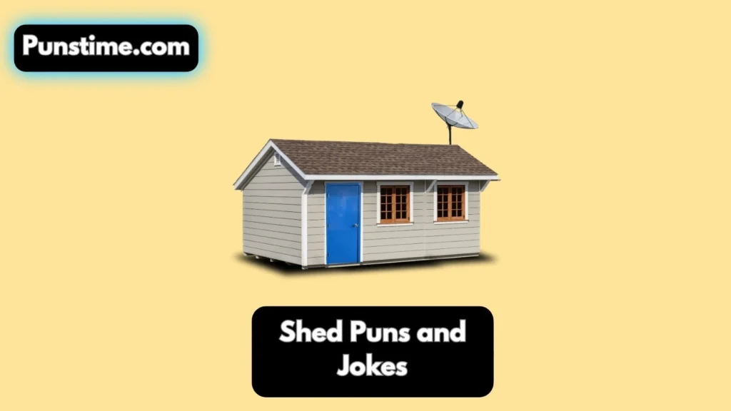 Silly & Sassy Shed 