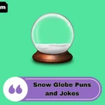 Snow Globe Puns and Jokes
