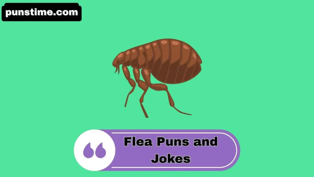 Witty Flea Puns