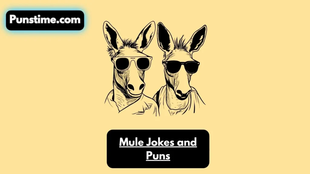 Witty Mule Puns