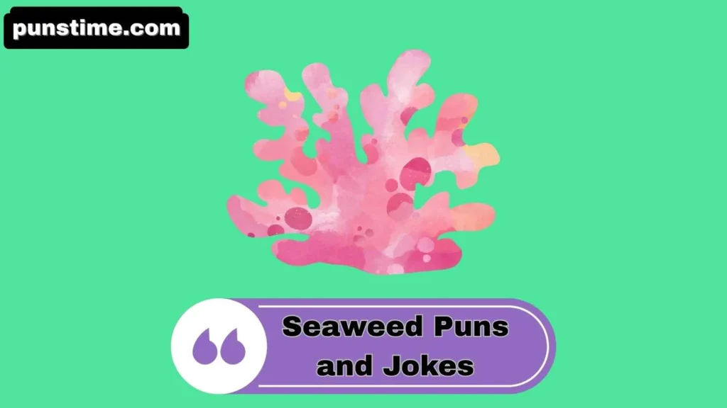 Witty Seaweed Puns