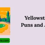 Yellowstone Puns and Jokes