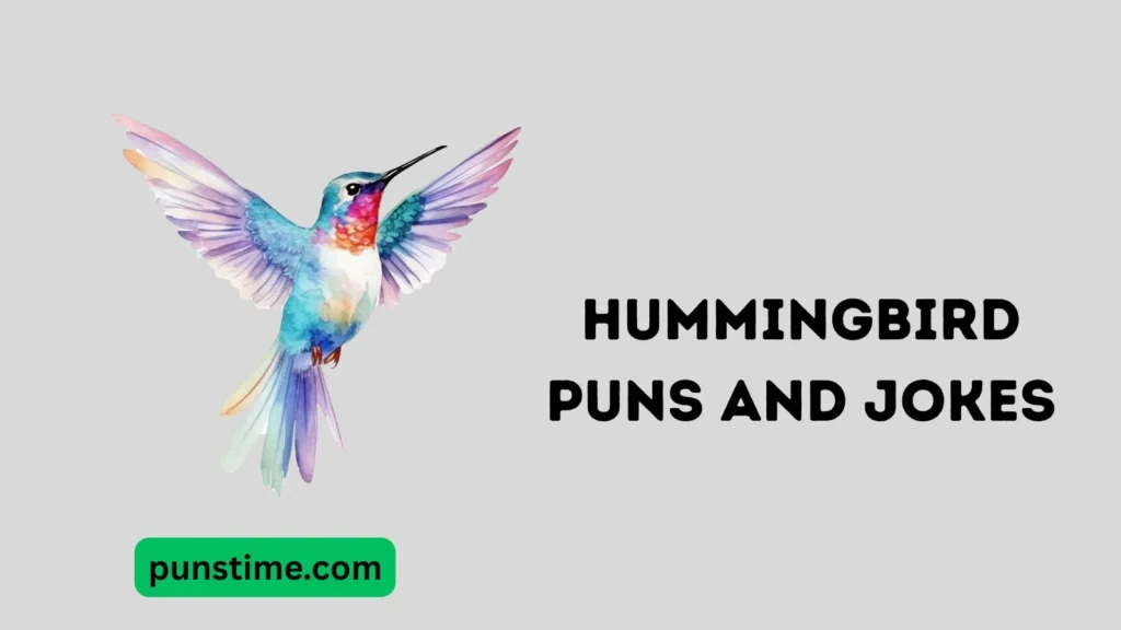 Funny Hummingbird Puns Captions