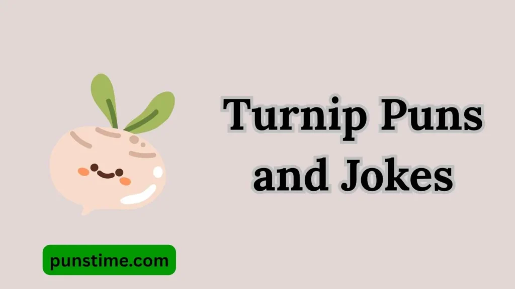 Best Turnip-Themed
