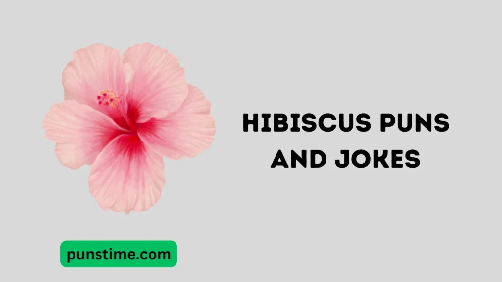 Funny Hibiscus Puns Captions