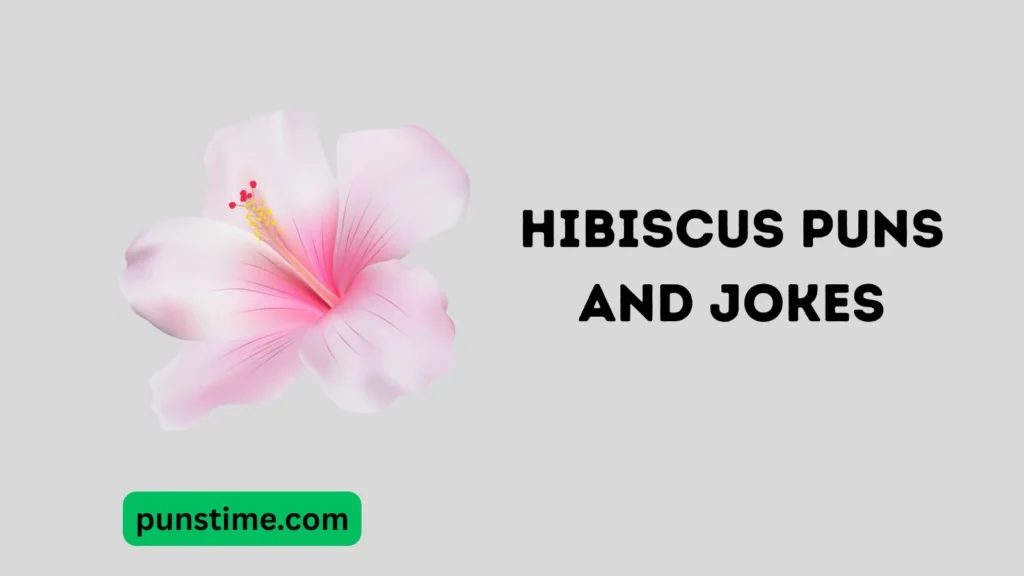 Funny Hibiscus Puns One Liners