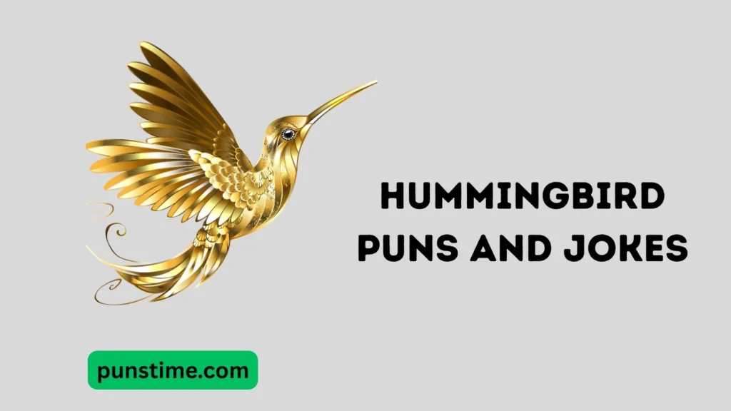 Funny Hummingbird Puns One Liners