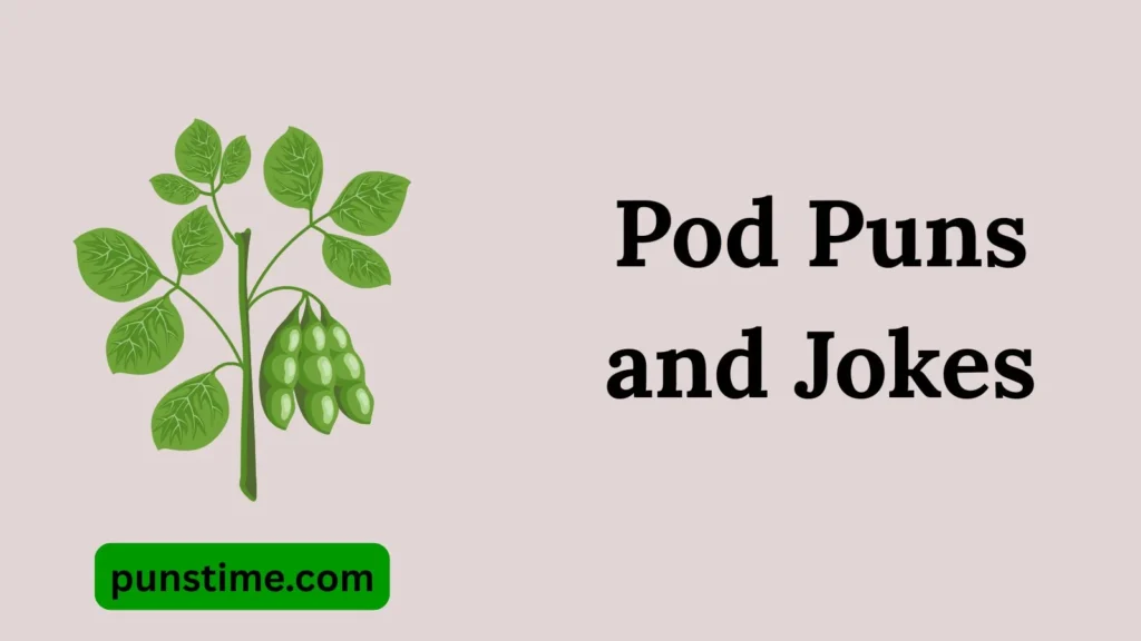  Funny Pod Puns Captions
