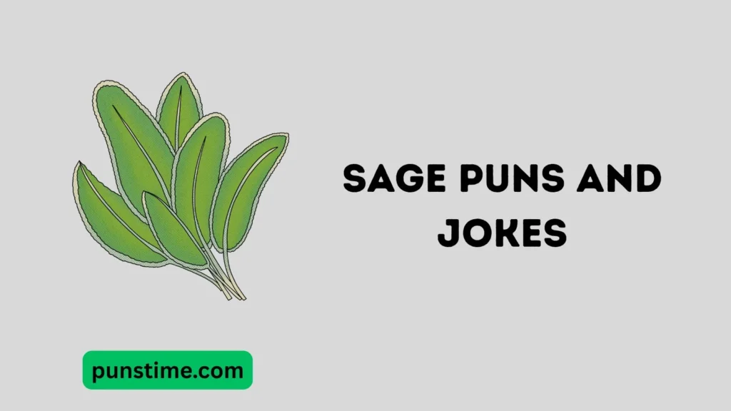 Funny Sage Puns Captions