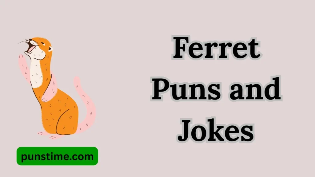  Funny Social Media Ferret