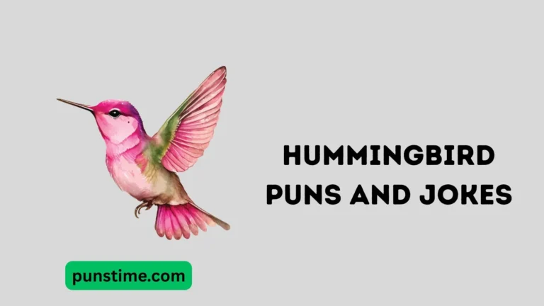 Hummingbird Puns and Jokes