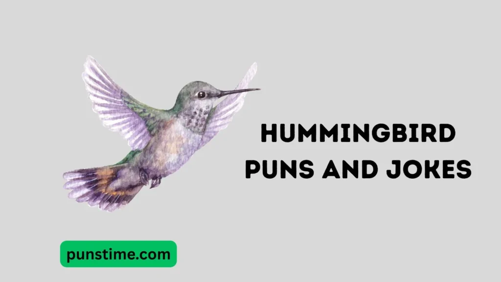 Short Funny Hummingbird Puns