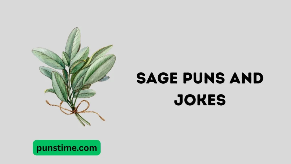 Short Funny Sage Puns